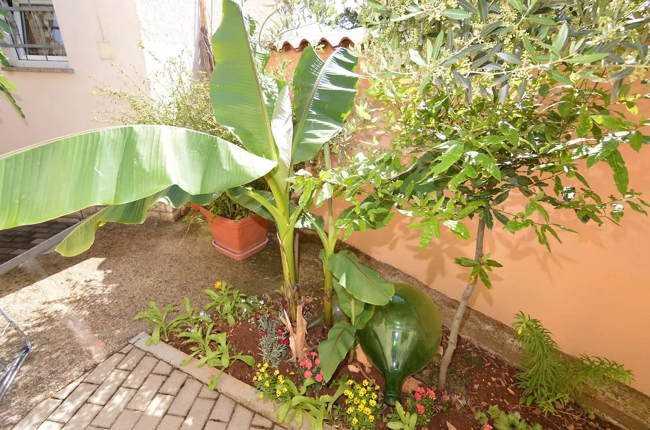 Apartmani Dekovic Materada 波雷奇 3*,  克罗地亚