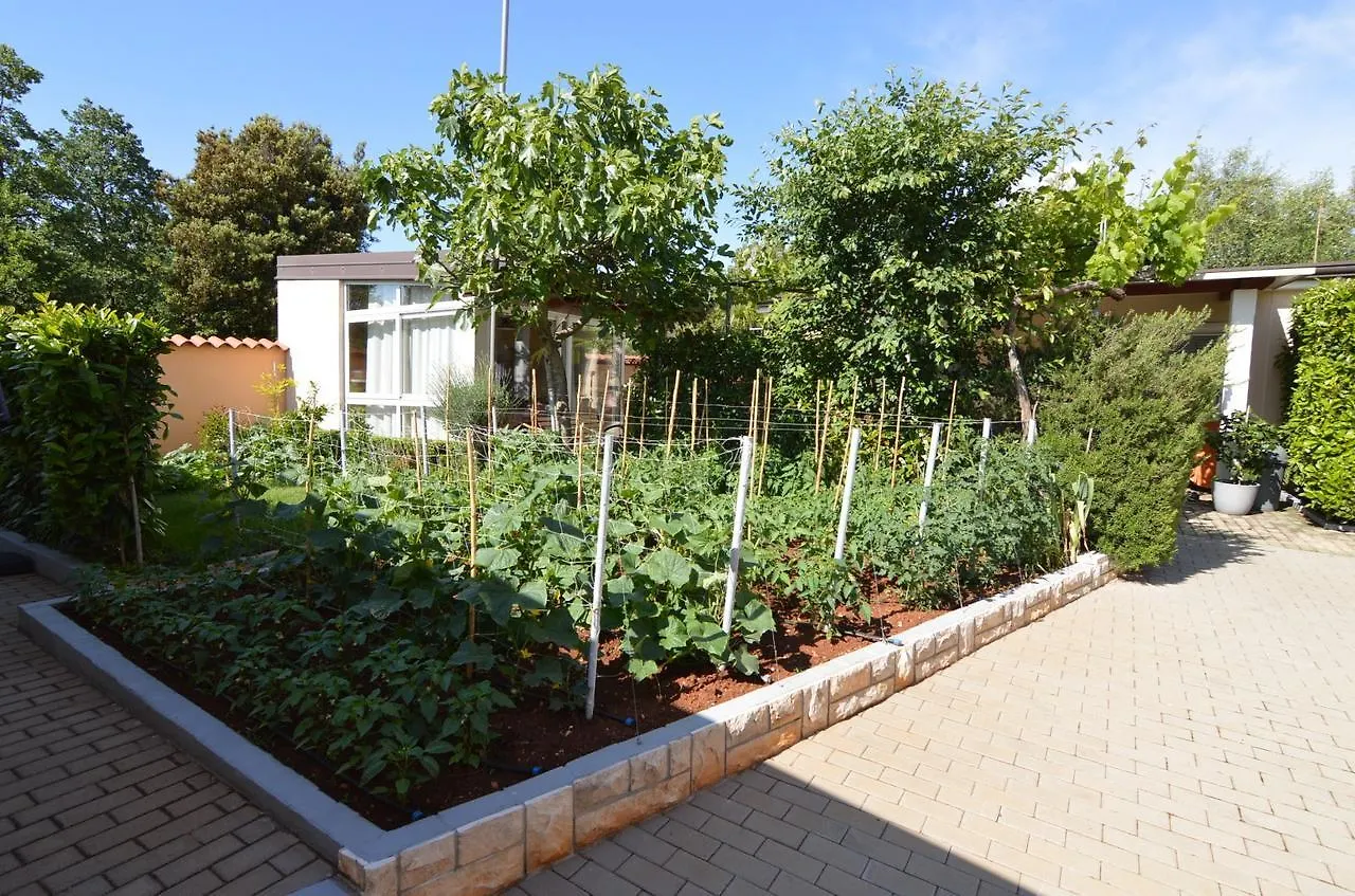 Apartmani Dekovic Materada 波雷奇 3*,  克罗地亚